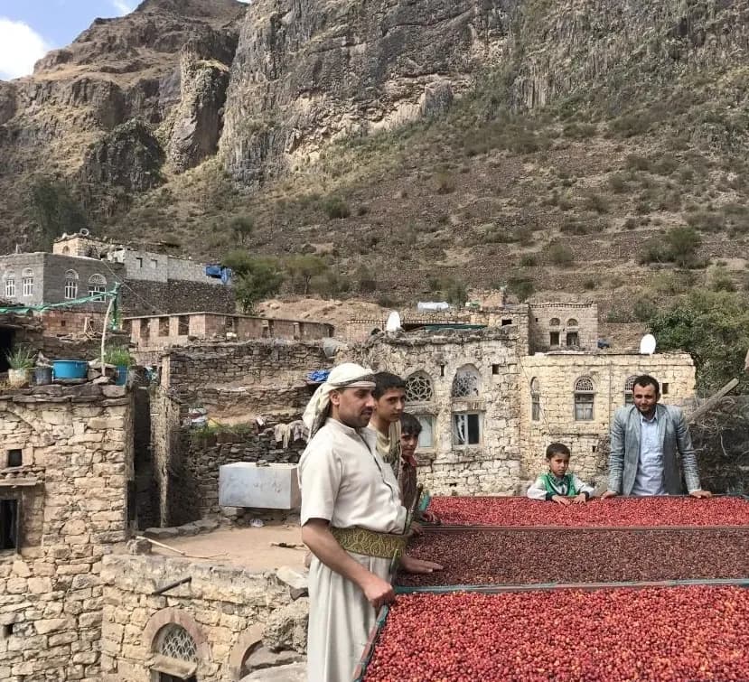 Yemeni coffee farming community heritage