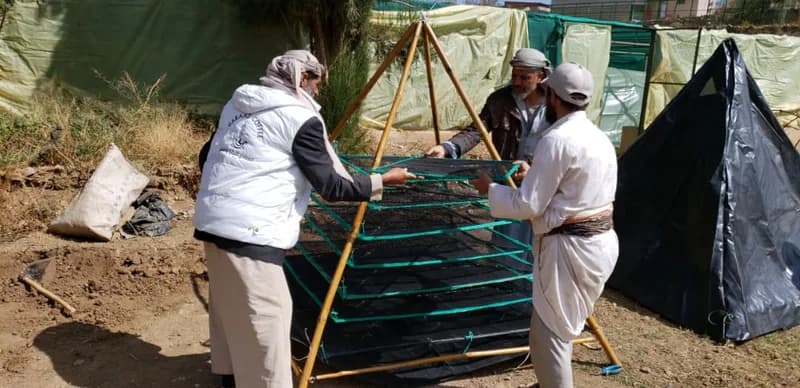 Sun drying coffee cherries on pyramid structures
