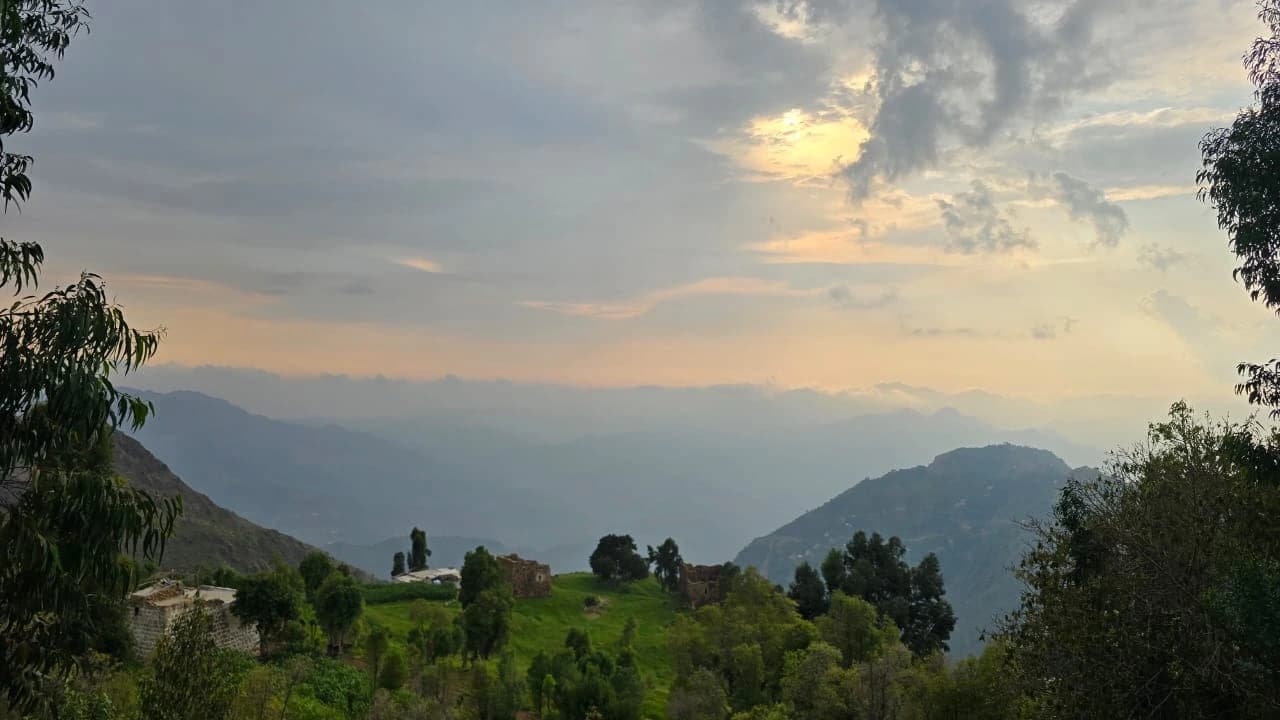 Yemen's Haraz mountain terraces — where CLIFF coffee trees grow against steep cliffs